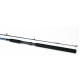 Put In Pavero 30 Spinning Rod and Quick AT 480 Reel Combo - 03511-300+1135-480 - Eurostar