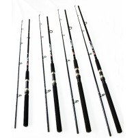 Put In Fighter 100 Spinning Rod - 2390-211X - D.A.M