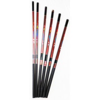 Telescopic Carbon " FLEX PRO" Rod - 6 m - 2522-600 - AZZI Tackle