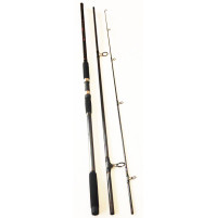 Carbon Put In Top Surf 80 Spinning Rod - 2975-390 - ASM International