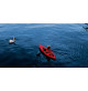 SIT-IN Kayak for Adult - 10' - SF-1004 / SF-BXA100X - Seaflo