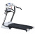 Motorized treadmill 1190D + Massage +$90.09