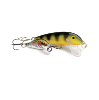 CountDown - CD- Rapala 