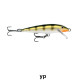 CountDown - CD- Rapala 