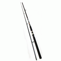 Put In Fighter 100 Spinning Rod - 3.01 M - 2390-301 - D.A.M