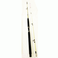Put In Majestic 30 Spinning Rod - 270 M - 2712-270 - AZZI Tackle