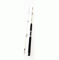 Put In Majestic 50 Spinning Rod - 210 M - 2713-210 - AZZI Tackle